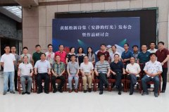怀宁海子诗歌研究会参与主办黄挺松新诗集《安静的灯光》研讨会