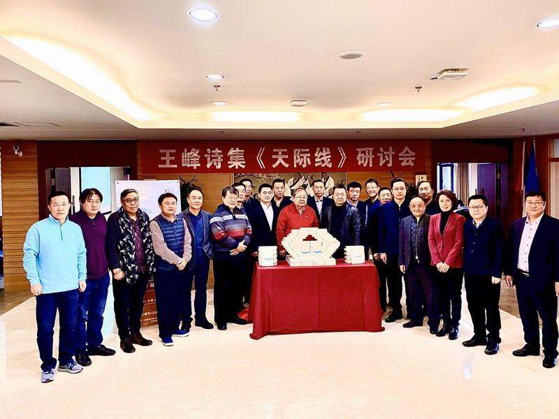 空中诗人王峰诗集《天际线》研讨会暨新书发布会在北师大举办 空中诗人王峰诗集《天际线》研讨会暨新书发布会在北师大举办