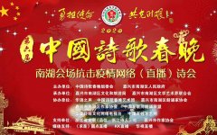 “勇担使命 共克时艰”---嘉兴市南湖区在全国率先举办抗击疫情