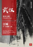陈振华：“即时性”之上的个体叙事语法 ——简论李国彬中篇小说